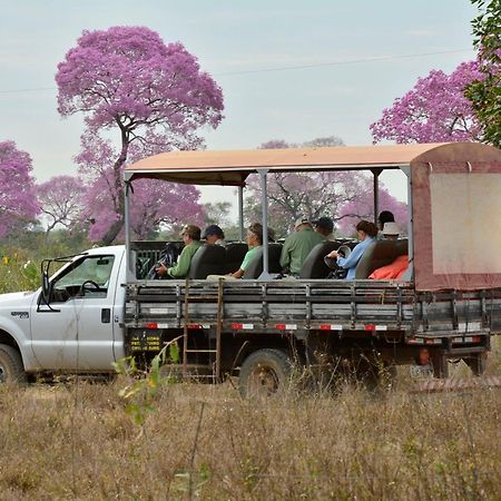 Southwild Pantanal LodgePixaim エクステリア 写真