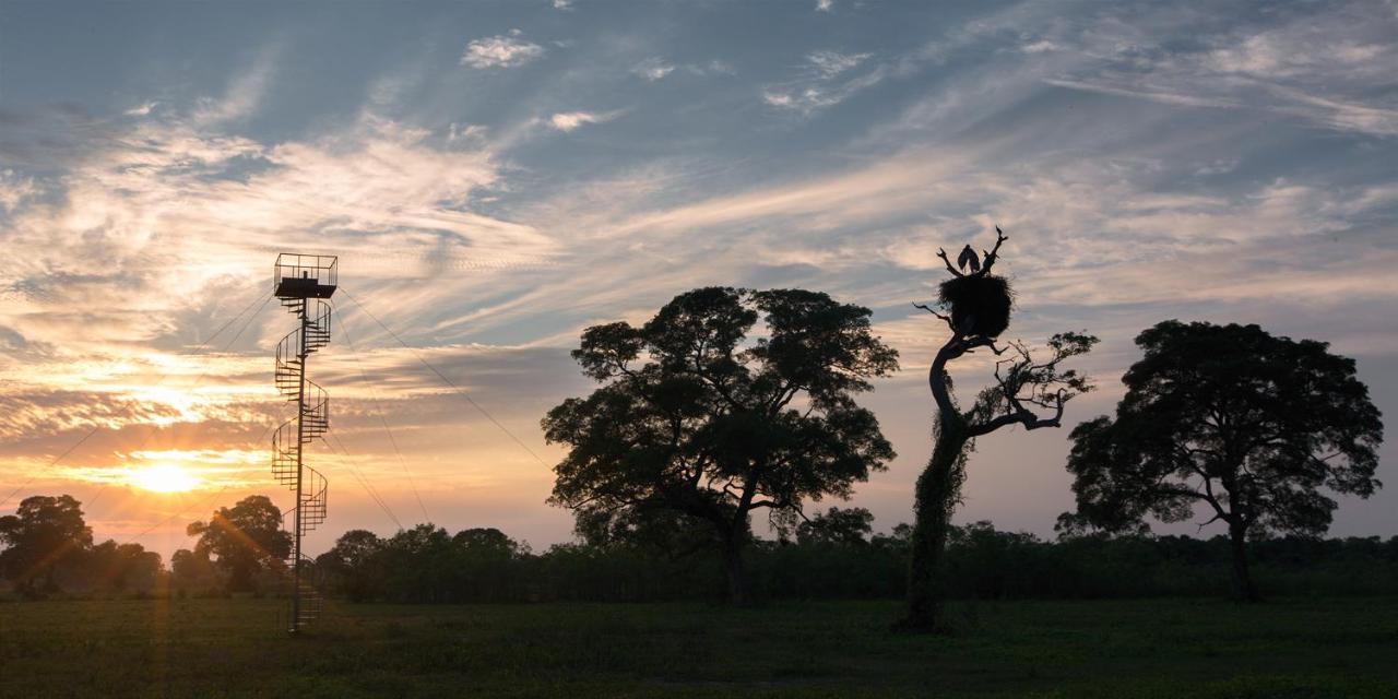 Southwild Pantanal LodgePixaim エクステリア 写真