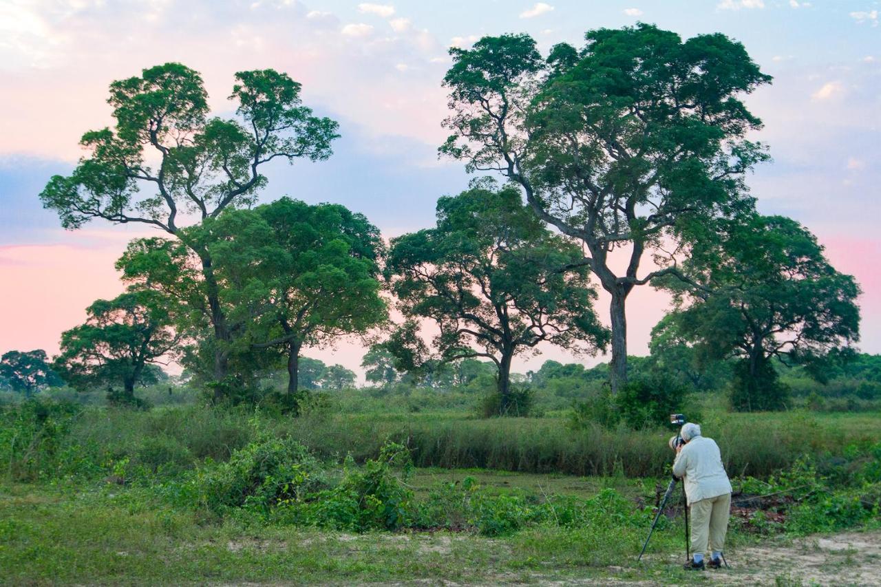Southwild Pantanal LodgePixaim エクステリア 写真