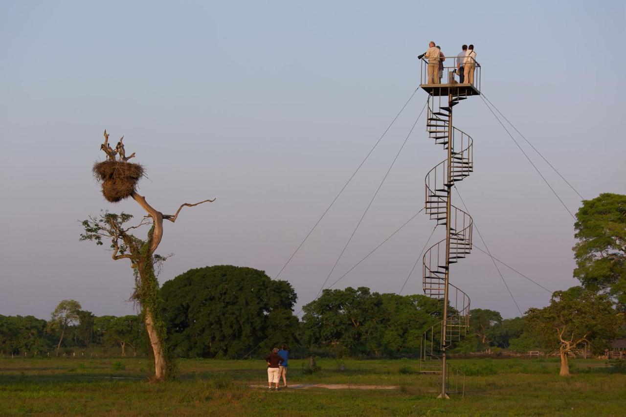 Southwild Pantanal LodgePixaim エクステリア 写真