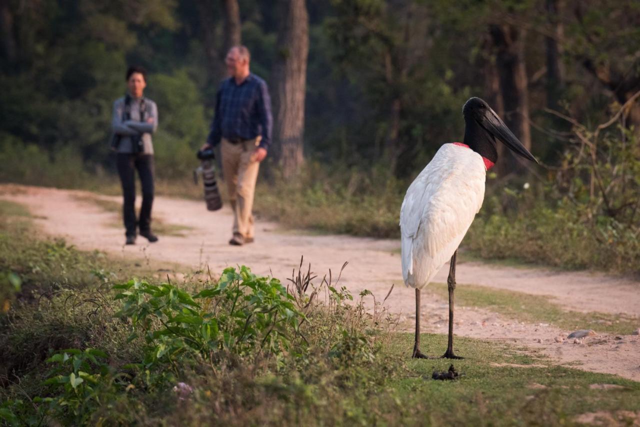 Southwild Pantanal LodgePixaim エクステリア 写真