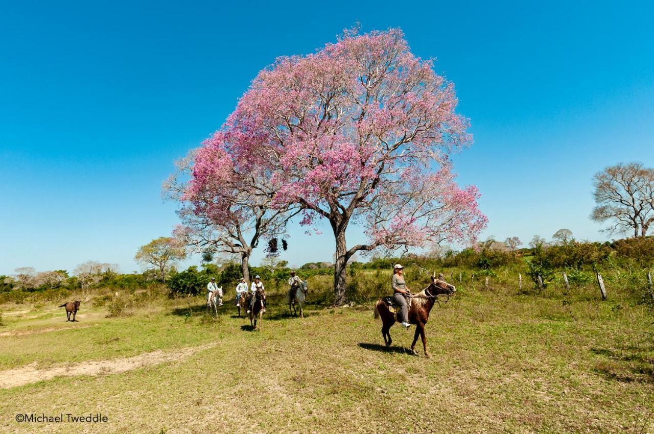 Southwild Pantanal LodgePixaim エクステリア 写真