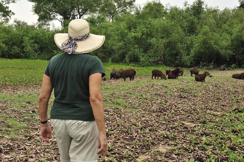 Southwild Pantanal LodgePixaim エクステリア 写真