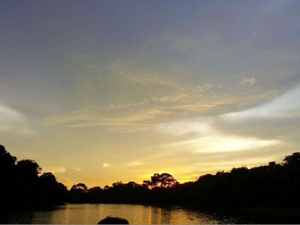Southwild Pantanal LodgePixaim エクステリア 写真