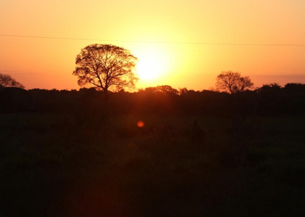 Southwild Pantanal LodgePixaim エクステリア 写真