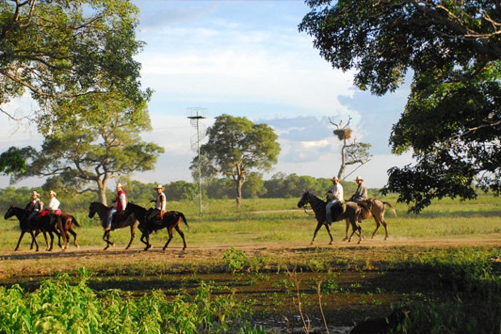 Southwild Pantanal LodgePixaim エクステリア 写真